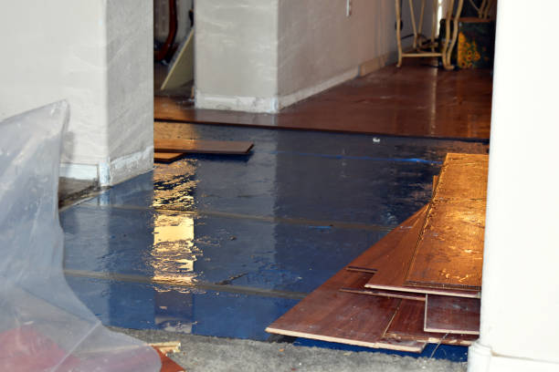 Professional Burst Pipe Cleanup technician working in Dupont, PA